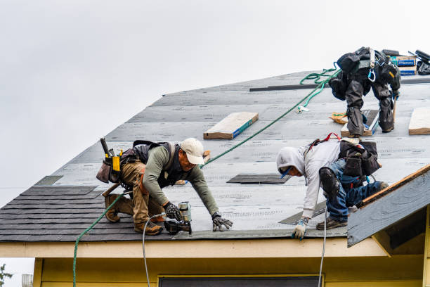 Professional Gutter Installation technician working in Effingham, SC